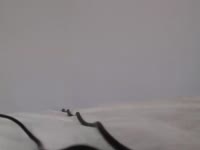 I am a 25-year-old French model, brunette with green eyes, 1.64m tall. Rather sweet, kind and attentive, I like to feel good in your company, and our games of seduction.