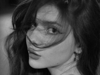 sex webcam chatroom VelvetMeow